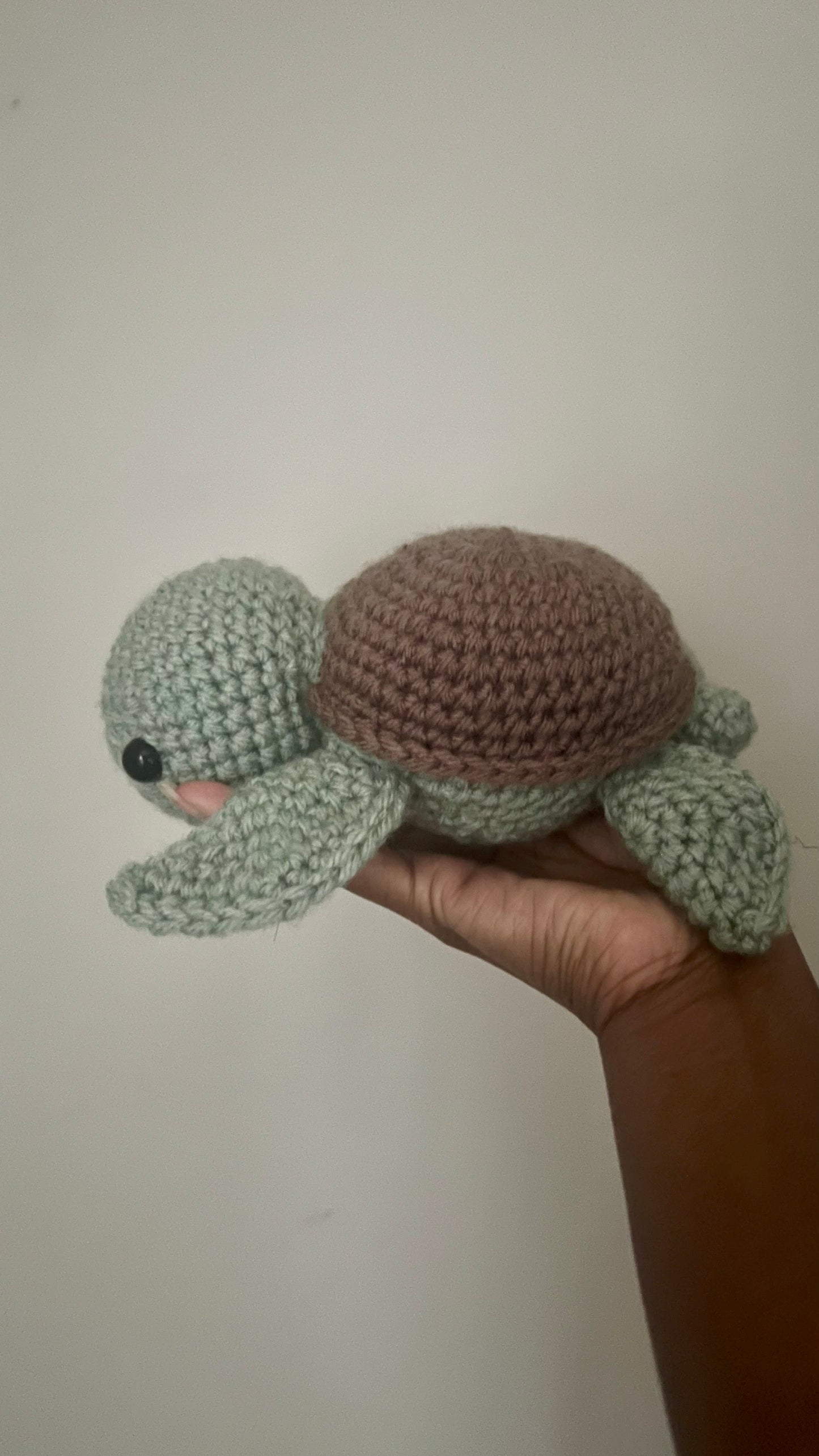 Little turtle