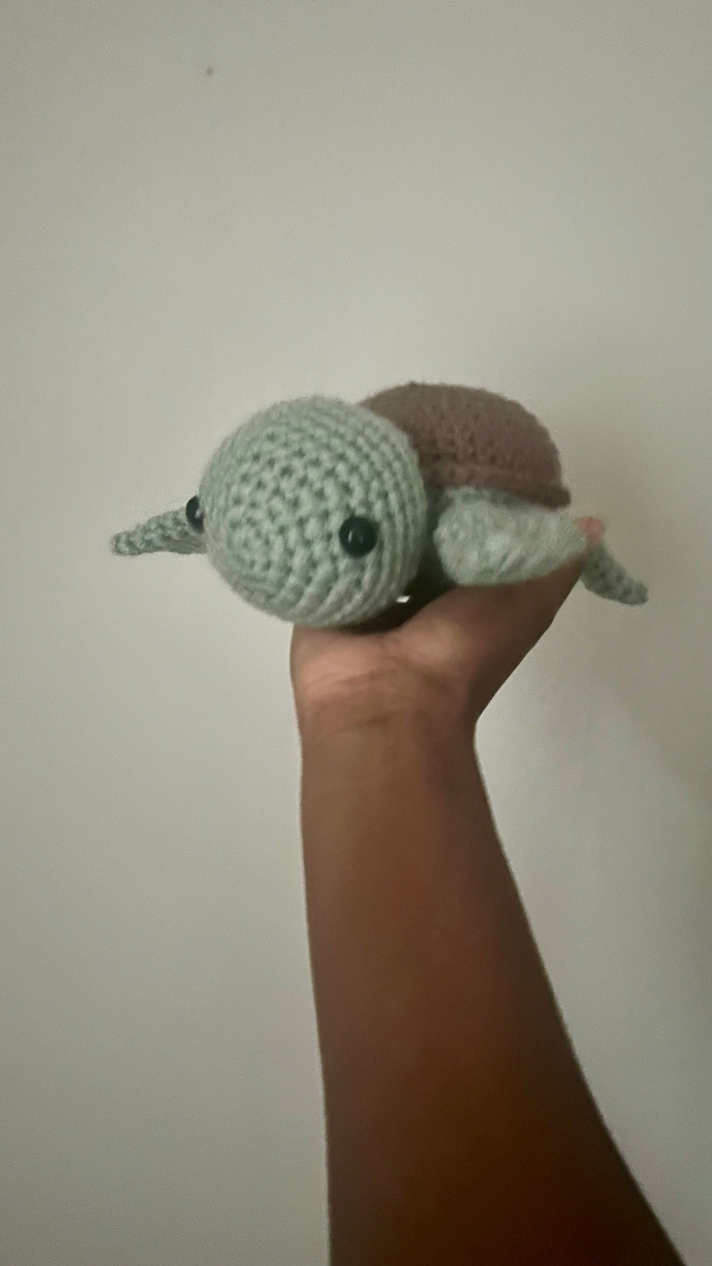 Little turtle